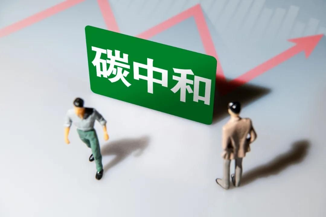 习近平：推动平台经济规范健康持续发展 把碳达峰碳中和纳入生态文明建设整体布局